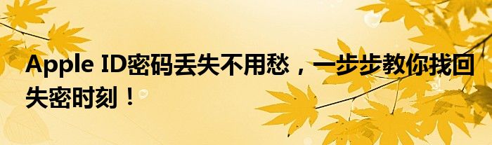 Apple ID密码丢失不用愁，一步步教你找回失密时刻！
