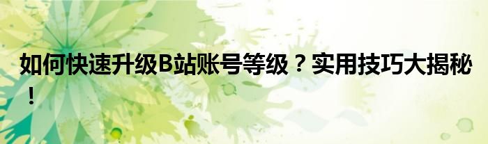 如何快速升级B站账号等级？实用技巧大揭秘！