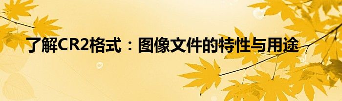 了解CR2格式：图像文件的特性与用途