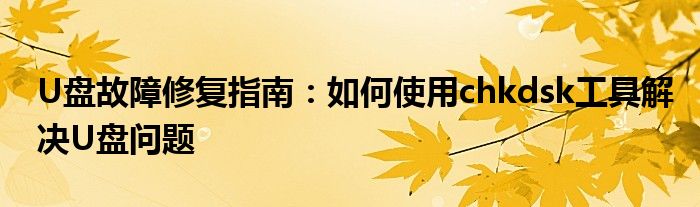 U盘故障修复指南：如何使用chkdsk工具解决U盘问题