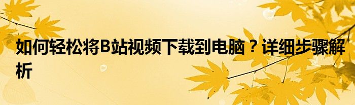 如何轻松将B站视频下载到电脑？详细步骤解析