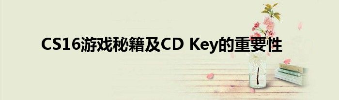 CS16游戏秘籍及CD Key的重要性