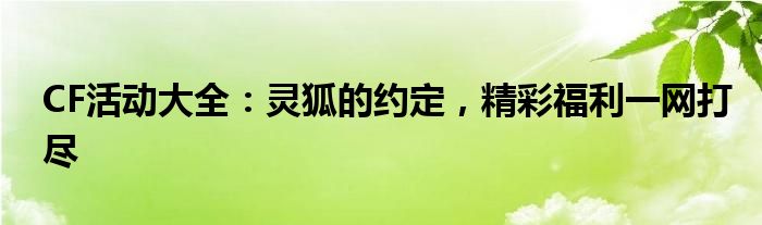 CF活动大全：灵狐的约定，精彩福利一网打尽