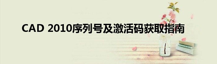 CAD 2010序列号及激活码获取指南