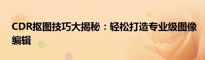 CDR抠图技巧大揭秘：轻松打造专业级图像编辑