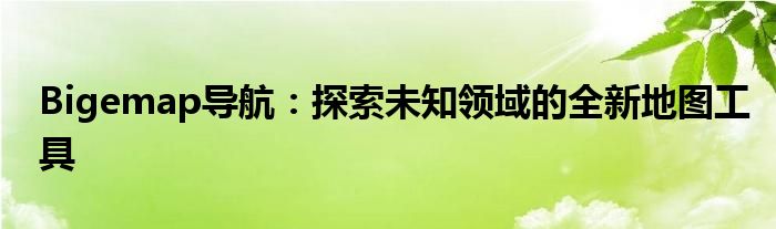 Bigemap导航：探索未知领域的全新地图工具