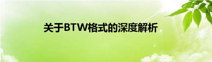 关于BTW格式的深度解析
