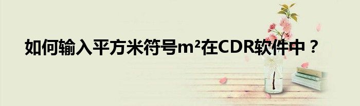 如何输入平方米符号m²在CDR软件中？