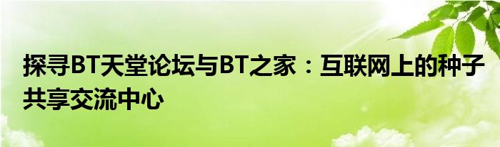 探寻BT天堂论坛与BT之家：互联网上的种子共享交流中心