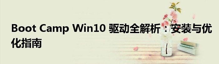 Boot Camp Win10 驱动全解析：安装与优化指南
