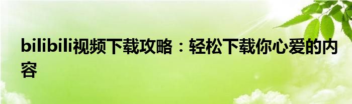 bilibili视频下载攻略：轻松下载你心爱的内容