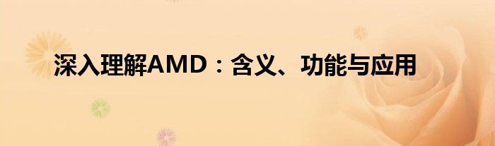 深入理解AMD：含义、功能与应用