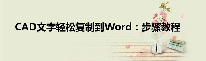 CAD文字轻松复制到Word：步骤教程
