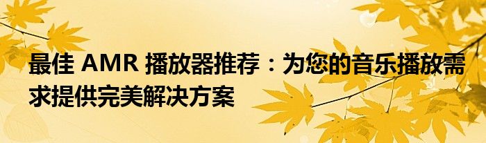 最佳 AMR 播放器推荐：为您的音乐播放需求提供完美解决方案