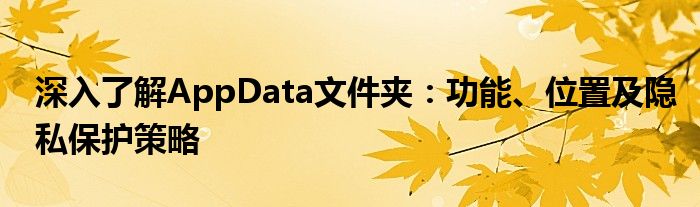 深入了解AppData文件夹：功能、位置及隐私保护策略
