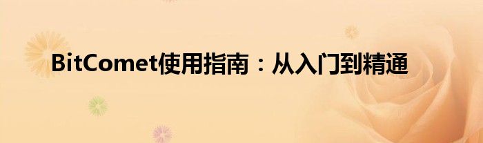 BitComet使用指南：从入门到精通