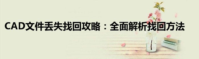CAD文件丢失找回攻略：全面解析找回方法
