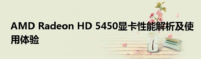 AMD Radeon HD 5450显卡性能解析及使用体验