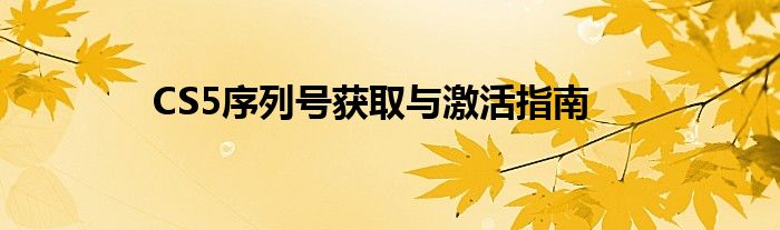 CS5序列号获取与激活指南