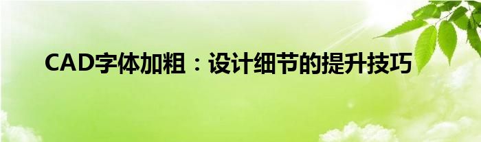 CAD字体加粗：设计细节的提升技巧