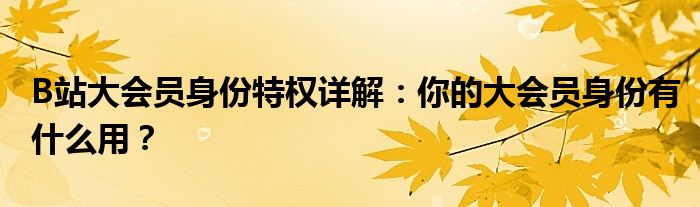 B站大会员身份特权详解：你的大会员身份有什么用？