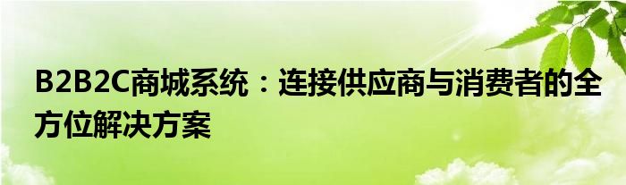 B2B2C商城系统：连接供应商与消费者的全方位解决方案
