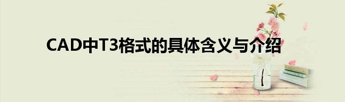 CAD中T3格式的具体含义与介绍