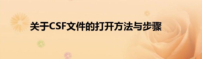 关于CSF文件的打开方法与步骤
