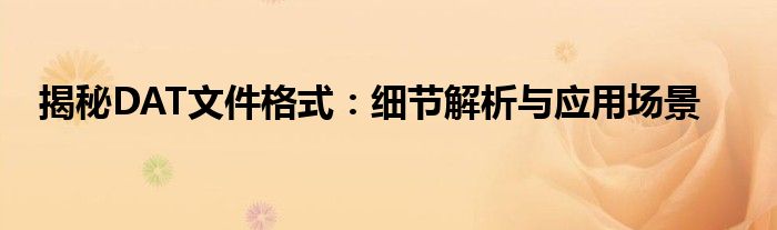 揭秘DAT文件格式：细节解析与应用场景