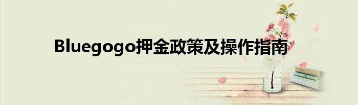 Bluegogo押金政策及操作指南