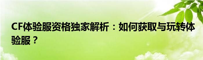 CF体验服资格独家解析：如何获取与玩转体验服？