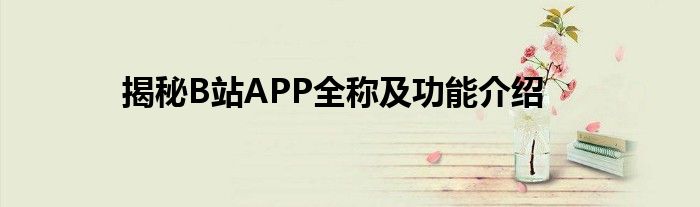 揭秘B站APP全称及功能介绍