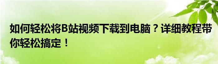 如何轻松将B站视频下载到电脑？详细教程带你轻松搞定！