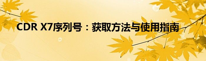 CDR X7序列号：获取方法与使用指南