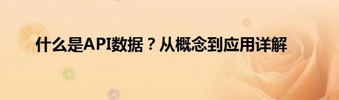 什么是API数据？从概念到应用详解