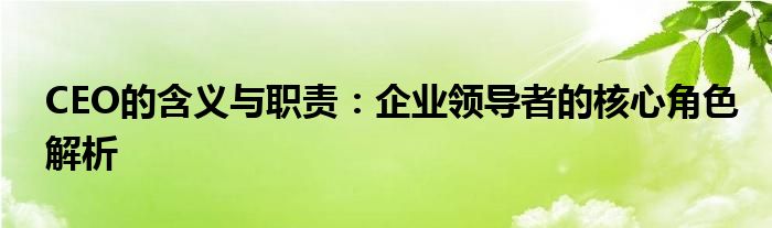 CEO的含义与职责：企业领导者的核心角色解析