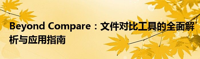 Beyond Compare：文件对比工具的全面解析与应用指南