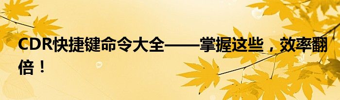 CDR快捷键命令大全——掌握这些，效率翻倍！