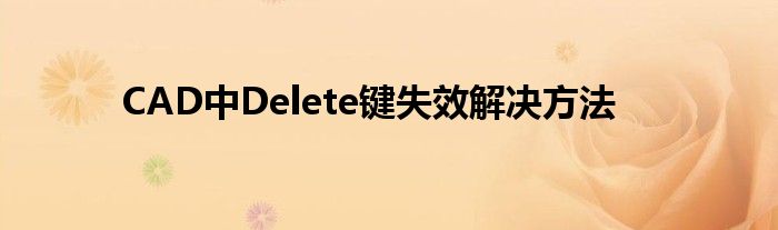 CAD中Delete键失效解决方法