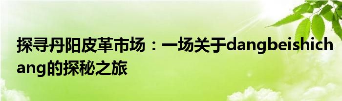探寻丹阳皮革市场：一场关于dangbeishichang的探秘之旅