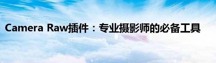 Camera Raw插件：专业摄影师的必备工具