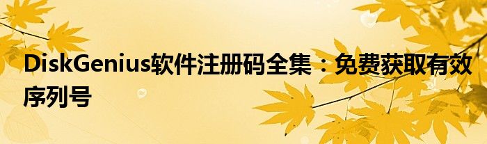 DiskGenius软件注册码全集：免费获取有效序列号