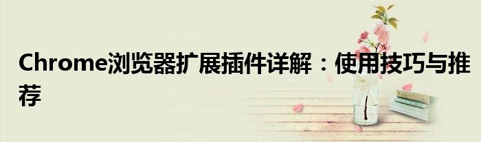 Chrome浏览器扩展插件详解：使用技巧与推荐