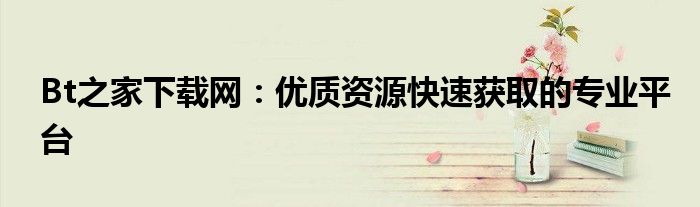 Bt之家下载网：优质资源快速获取的专业平台