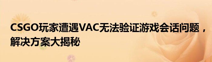 CSGO玩家遭遇VAC无法验证游戏会话问题，解决方案大揭秘