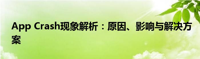 App Crash现象解析：原因、影响与解决方案