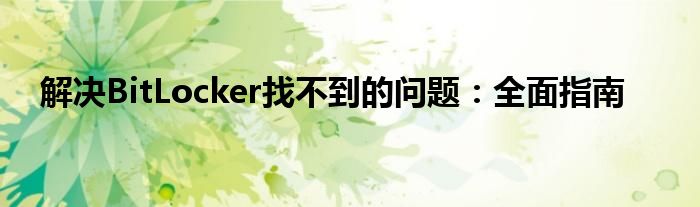 解决BitLocker找不到的问题：全面指南