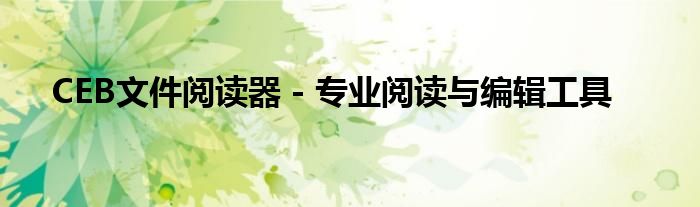 CEB文件阅读器 - 专业阅读与编辑工具