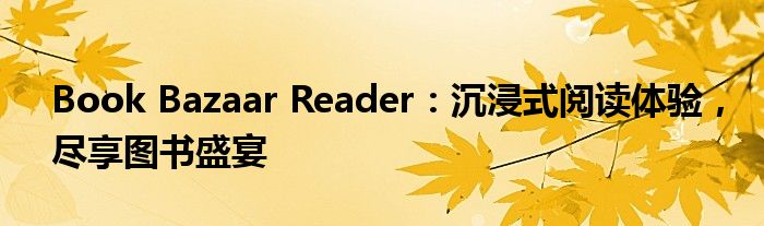 Book Bazaar Reader：沉浸式阅读体验，尽享图书盛宴