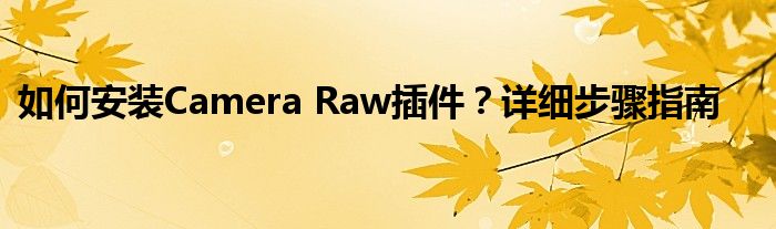如何安装Camera Raw插件？详细步骤指南